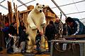 Eisbärig: Die Vorbereitungen für die Euerbacher Eisbärparty im weißen Winterzelt mit alpinem Ambiente beschäftigen wochenlang den Verein Dinos Masshoppers, hier dessen Vorsitzender Lutz Michel (rechts an der Kreissäge) und einige Helfer.
