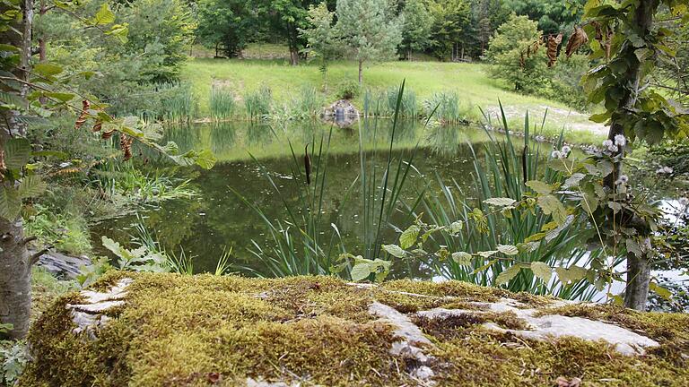 Abfalldeponie Wirmsthal       -  Eines von drei Überlaufbecken: Hier wird das Oberflächenwasser - wie Regenwasser - gesammelt und über einen 2,3 Kilometer langen Kanal in den Lollbach geleitet.