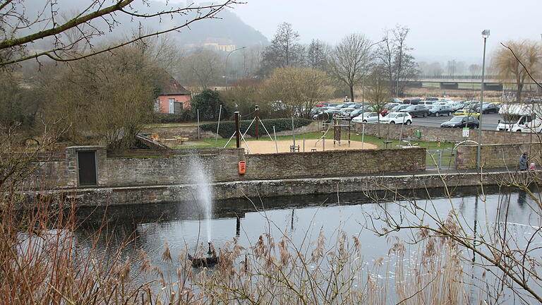 Weiher Bleichrasen Hammelburg       -  Der Weiher am Bleichrasen in Hammelburg soll künftig sicherer für Kinder werden.