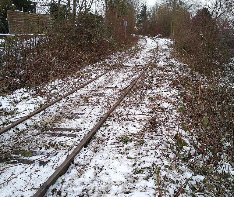 Ein neuer Schnitt, eine neue Sicht, eine freie Trasse. Nach dem Rückschnitt im Rahmen der Grün-Pflegemaßnahmen ist die Strecke der Steigerwaldbahn wie hier in Wiesentheid wieder frei und gut begehbar. Der Besitzer, die Firma Gleisrückbau Meißner führt aktuell diese Maßnahmen durch.