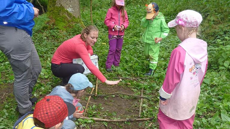 Wie unterscheiden sich die Erdschichten und deren tierische und pflanzliche Bewohner im Wald und am Bach? Dies untersuchten die Vorschulkinder gemeinsam mit Julia Stubenrauch. Wie unterscheiden sich die Erdschichten und deren tierische und pflanzliche Bewohner im Wald und am Bach? Dies untersuchten die Vorschulkinder gemeinsam mit Julia Stubenrauch.