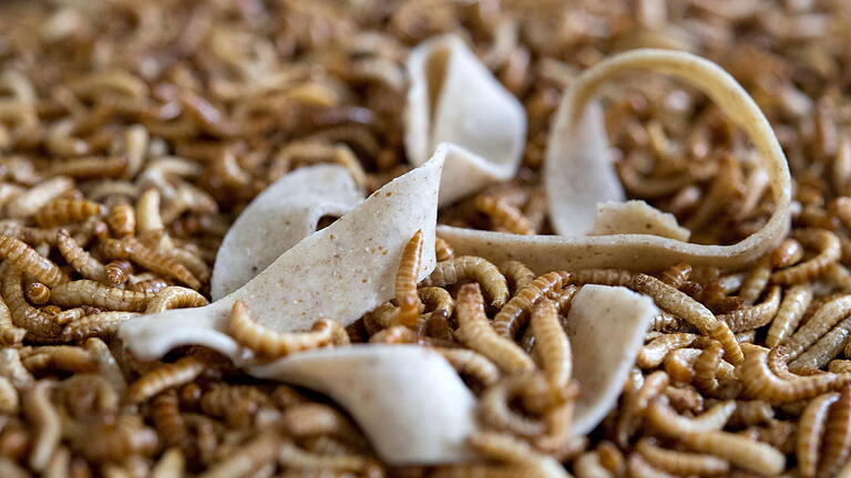 dpa-Story: Insekten essen.jpeg       -  Insekten in Lebensmitteln sind keine Seltenheit. Welche Produkte bereits Insekten enthalten.