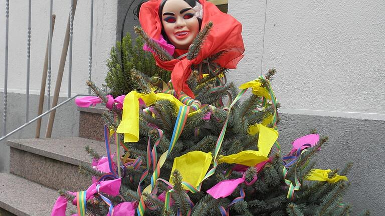 Der Weihnachtsbaum wird in Bischofsheim gerne zum Fosenochtsbaum weiter verwertet.