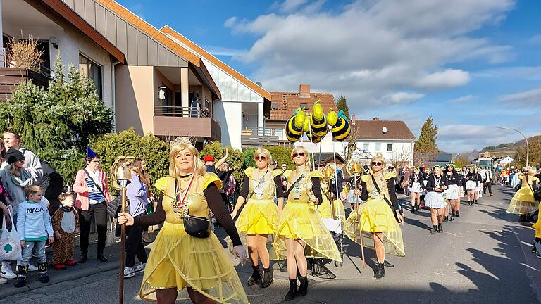 Faschingszug der &quot;Lorbser&quot; in Marktheidenfeld.
