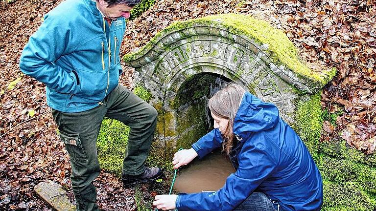 Im Dienste der Wissenschaft: Die Biologin Carolin Dittrich vom Naturkundemuseum Berlin sucht zusammen mit dem Leiter des Forstbetriebs Ebrach, Ulrich Mergner, am Wotansborn bei Fabrikschleichach nach Larven des Feuersalamanders.