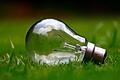 Foto: Free-Photos/Pixabay       -  Foto: Free-Photos/Pixabay