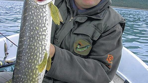 Udo Sell mit schönem &bdquo;Balkankrokodil&ldquo;, dieser Hecht aus dem Vraner See hätte zum Sieg beim in der gleichen Woche stattfindenden IFC Predator Cup, den European Championship im Spinnfischen gereicht. Bei einer Teilnahme hätte der Hecht eine Prämie von 2000 Euro nebst Pokal erbracht.