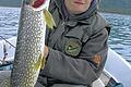 Udo Sell mit schönem &bdquo;Balkankrokodil&ldquo;, dieser Hecht aus dem Vraner See hätte zum Sieg beim in der gleichen Woche stattfindenden IFC Predator Cup, den European Championship im Spinnfischen gereicht. Bei einer Teilnahme hätte der Hecht eine Prämie von 2000 Euro nebst Pokal erbracht.