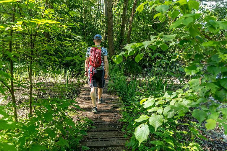 Auf Holzstegen geht's durch den Auenwald. Auf Holzstegen geht's durch den Auenwald.