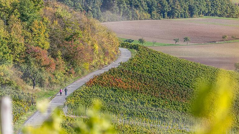 Unterwegs auf dem rund neun Kilometer langen Wanderweg 'Ums Mahlholz' rund um Gerolzhofen. Vom Wein-Pavillon am Franziskus hat man einen herrlichen Ausblick in die Landschaft. Hier auf die Weinberge rund um Wiebelsberg. Unterwegs auf dem rund neun Kilometer langen Wanderweg 'Ums Mahlholz' rund um Gerolzhofen. Vom Wein-Pavillon am Franziskus hat man einen herrlichen Ausblick in die Landschaft. Hier auf die Weinberge rund um Wiebelsberg.