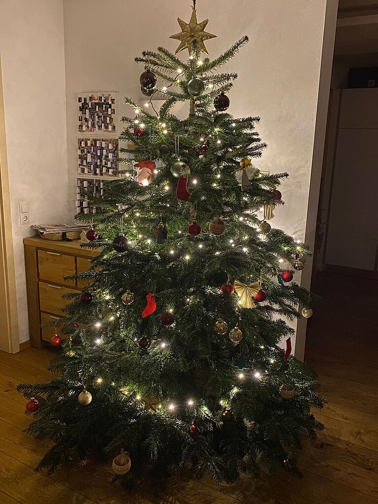 Der Weihnachtsbaum von Familie Heuberger ist eine Bio-Nordmanntanne. Aufgestellt wird sie immer zwei Wochen vor dem Fest. Der Weihnachtsbaum von Familie Heuberger ist eine Bio-Nordmanntanne. Aufgestellt wird sie immer zwei Wochen vor dem Fest.