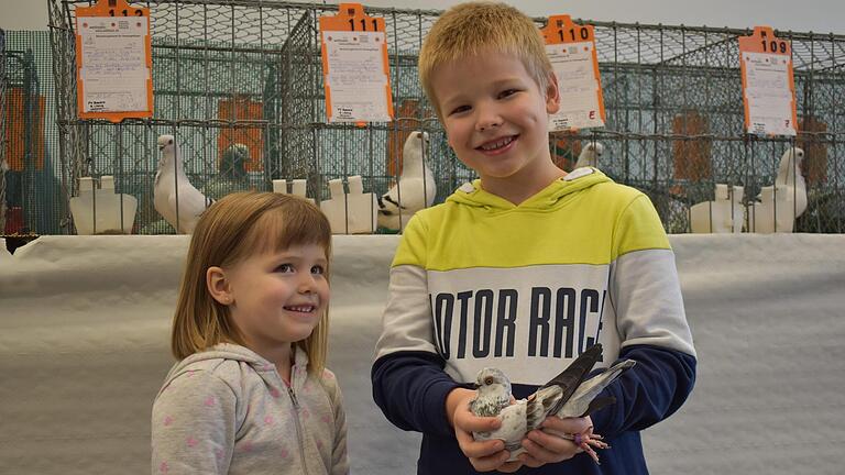 Die Ausstellung des Kleintierzuchtvereins Oerlenbach und Umgebung fand auf bei den jüngsten Besuchern großen Anklang. Foto: Andreas Lomb       -  Die Ausstellung des Kleintierzuchtvereins Oerlenbach und Umgebung fand auf bei den jüngsten Besuchern großen Anklang. Foto: Andreas Lomb