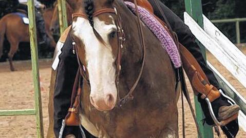 Wie echte Cowboys: Ein Gatter vom Pferderücken aus zu öffnen ist für Westernreiterin Anja Breunig und Pferd Tequila die erste Aufgabe bei der Disziplin Trail.