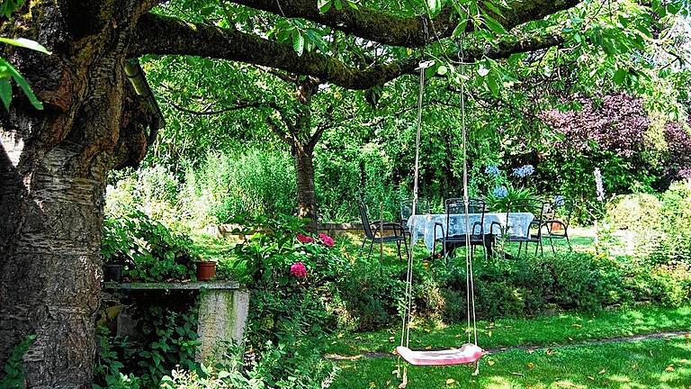 Opas Garten mit Kinderschaukel am Apfelbaum und schattigem Sitzplatz. Opas Garten mit Kinderschaukel am Apfelbaum und schattigem Sitzplatz.