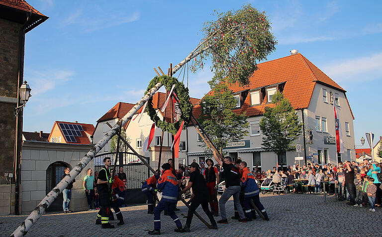 Noch einige &quot;Haurucks&quot; und der Maibaum der Gemeinde steht.