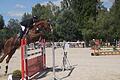 Ein Foto aus dem Jahr 2019 mit Zuschauern. Der Würzburger Reitverein hofft, dass in diese Jahr wieder Besucher kommen dürfen, plant aber derzeit das Kiliani-Reitturnier noch ohne Zuschauer. Die Entscheidung darüber fällt erst später im Jahr.