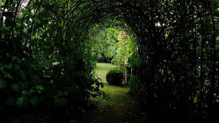Fast schon mystisch: Der Laubengang im Garten. Fast schon mystisch: Der Laubengang im Garten.