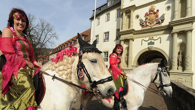 Die historische Kulisse mit dem prächtigen Residenzschloss macht den besonderen Charme des Bad Mergentheimer Pferdemarktes aus. Die historische Kulisse mit dem prächtigen Residenzschloss macht den besonderen Charme des Bad Mergentheimer Pferdemarktes aus.