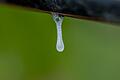 Kostbarer Tropfen: Wasser wird in den Weinbergen der Region immer mehr zum heiß diskutierten Thema.