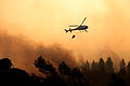 Waldbrand Portugal.jpg       -  In der Nähe von Lissabon wüteten bereits Ende Juli 2023 Waldbrände. Aktuell gibt es in vielen Regionen Portugals Feuer.