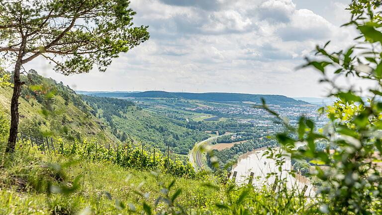 Auf dem Wanderweg von Gambach zum Edelweiß am Grainberg warten gleich mehrere Aussichtspunkte. Auf dem Wanderweg von Gambach zum Edelweiß am Grainberg warten gleich mehrere Aussichtspunkte.