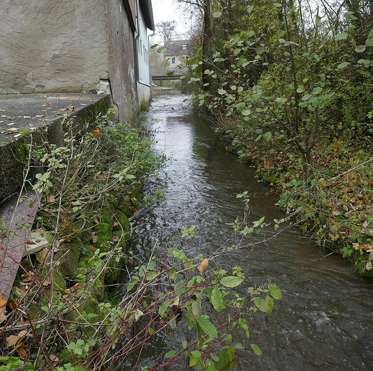 Die Aurach westlich der Brücke in Tretzendorf: Verlauf und&nbsp; Bachbett sind stark von Menschenhand geprägt.&nbsp;