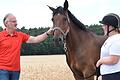 Der Reitclub mit seiner ihrer Vorsitzenden Anna Racké haben nach ihrem Umzug aus Bad Neustadt viel Leben nach Lebenhan gebracht, findet Bernhard Rösch.