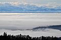 Nebel am Bodensee       -  Wer auf den Berg steigt, kann ein Nebelmeer unter sich erwarten. (Archivbild)