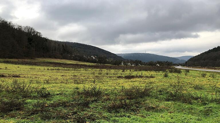 Auf dieser Fläche an der Schönauer Straße soll das geplante Neubaugebiet 'Mühlwiesen II' in Gemünden entstehen.