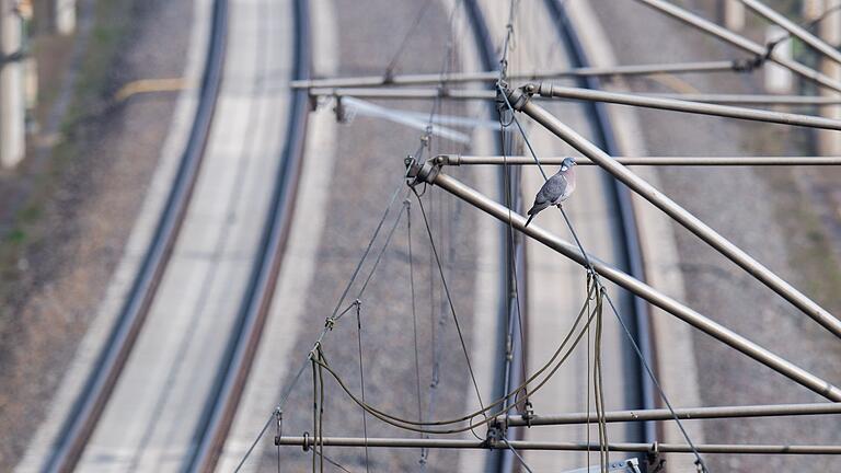 Oberleitungen (Symbolbild)       -  Noch mehr Oberleitungen für strombetriebenes Bahnfahren wird es künftig in Unterfranken geben.