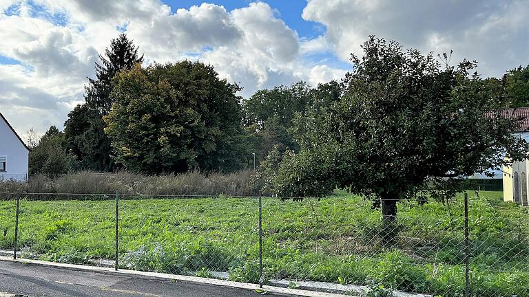 Noch blühen hier Blumen, aber demnächst könnte ein Baulückenschluss Platz für Wohnungen bieten.