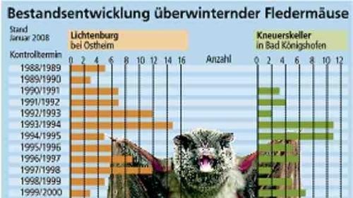 Die Suchergebnisse in den einzelnen Quartieren werden von Georg Warnke und seinen Helfern seit vielen Jahren penibel erfasst und in Grafiken anschaulich dargestellt. Im Bild beispielhaft die Bestandsentwicklung in zwei der insgesamt 27 im Landkreis Rhön-Grabfeld bekannten Winterquartiere. Die Suchergebnisse in den einzelnen Quartieren werden von Georg Warnke und seinen Helfern seit vielen Jahren penibel erfasst und in Grafiken anschaulich dargestellt. Im Bild beispielhaft die Bestandsentwicklung in zwei der insgesamt 27 im Landkreis Rhön-Grabfeld bekannten Winterquartiere.