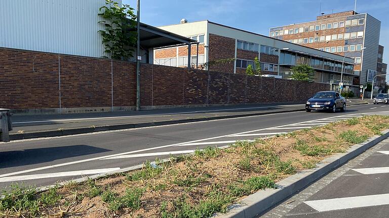 Die neu gestaltete Ernst-Sachs-Straße im Schweinfurter Stadtteil Oberndorf: Auf den beiden Verkehrsinseln ist keine Spur von den geplanten neuen Bäumen.