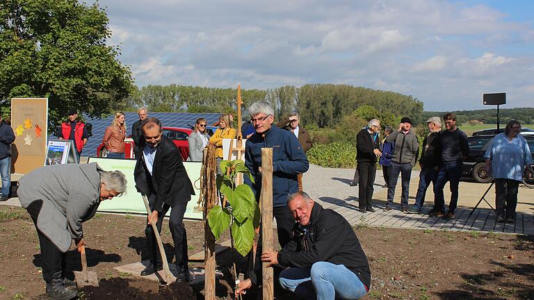Wiesenbronn wurde zum Wildlebensraum-Modellgebiet ernannt. Zum symbolischen Start wurde ein Maulbeerbaum hinter der Kirche gepflanzt. Wiesenbronn wurde zum Wildlebensraum-Modellgebiet ernannt. Zum symbolischen Start wurde ein Maulbeerbaum hinter der Kirche gepflanzt.