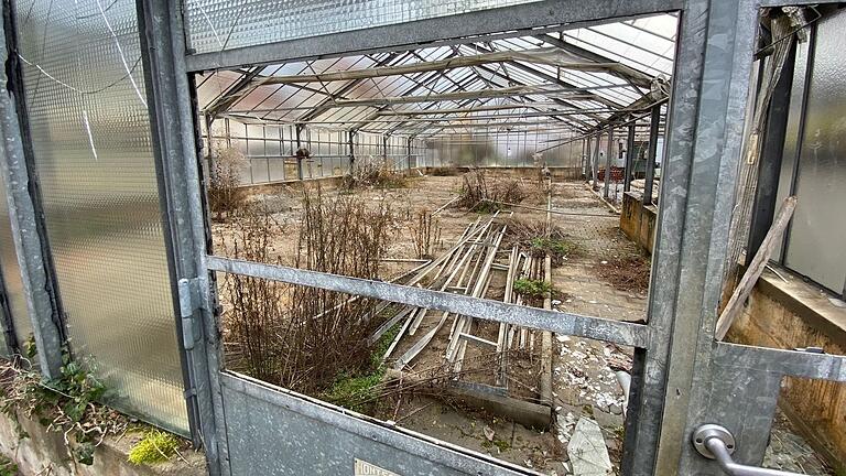 Alt und marode: Die Gewächshäuser am Bahnhofsweg in Mellrichstadt sollen bald Geschichte sein. Die Ausschreibung für den Abriss läuft, informierte Bürgermeister Michael Kraus.&nbsp;