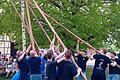 Geschafft, der Maibaum steht. Jetzt wir noch das Schild befestigt und dann gefeiert.