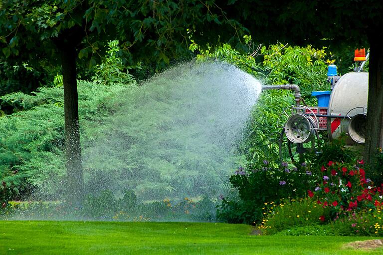 Mit Wasser aus dem Main werden die Stadtbäume während der Vegetationsphase gegossen.