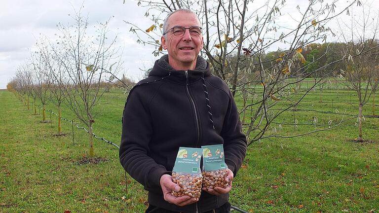 Während seine jungen Haselnussbäume bereits ihr Laub verloren haben, hält Peter Lichtenstern die ersten fertig verpackten Bio-Haselnüsse der neuen Ernte in Händen.&nbsp;