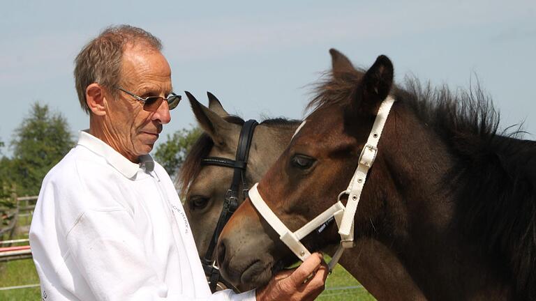 Auf seinen 'Lanthano' ist Winfried Fleck besonders stolz: Das Fohlen wurde vom Zuchtverband für deutsche Pferde prämiert. Foto: Ulrike Müller       -  Auf seinen 'Lanthano' ist Winfried Fleck besonders stolz: Das Fohlen wurde vom Zuchtverband für deutsche Pferde prämiert. Foto: Ulrike Müller