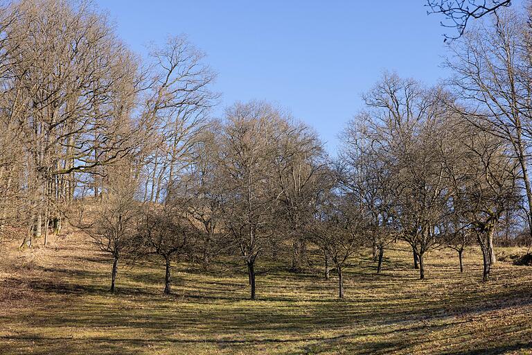 Der Weg führt an Streuobstwiesen vorbei. Der Weg führt an Streuobstwiesen vorbei.