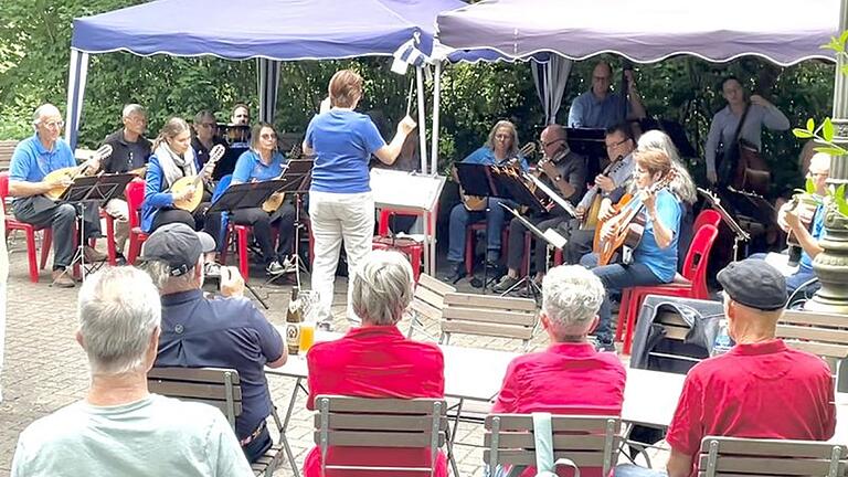 Mandolinen- und Gitarrenorchester der NaturFreunde Schweinfurt.