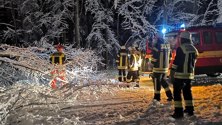 Insgesamt vier Bäume blockierten die Staatsstraße 2258 zwischen Unterschleichach und Fabrikschleichach.