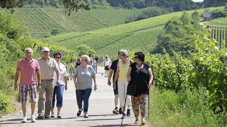 Unter dem Motto 'Wandern, wo der Wein wächst' lädt der Winzer- und Weinbauverein Homburg regelmäßig zu Weinwanderungen ein. Unter dem Motto 'Wandern, wo der Wein wächst' lädt der Winzer- und Weinbauverein Homburg regelmäßig zu Weinwanderungen ein.