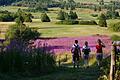 Wandern in der Rhön - alleine oder im Verein? Der Rhönklub war schon immer mehr als ein Wanderverein.&nbsp;