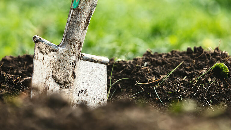 Header, garden shovel or spade puts into soil, green meadow in the back, low angle shot       -  Symbolbild: Schaufel