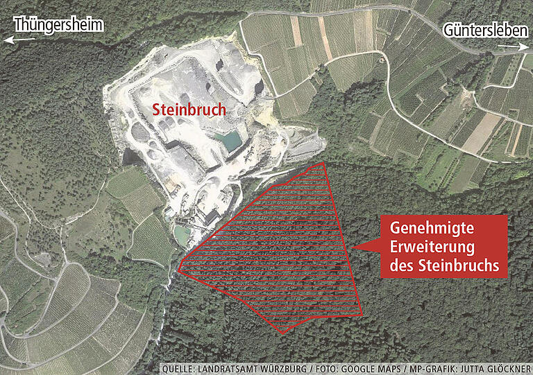 Kahlschlag in Thüngersheim: Ist alles rechtens?       -  Knapp zehn Hektar Wald sollen für die Erweiterung des Steinbruchs bei Thüngersheim gerodet werden.