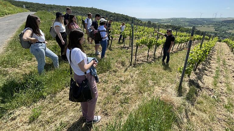 Den Volotag Weinbau veranstalteten die Volontärinnen und Volontäre mit der Bayerischen Landesanstalt für Wein- und Gartenbau (LWG), hier an der LWG-Weinlage „Thüngersheimer Scharlachberg“.