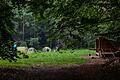 Der Trekkingplatz Lindach im Steigerwald: Hier darf man mitten in der Natur zelten.