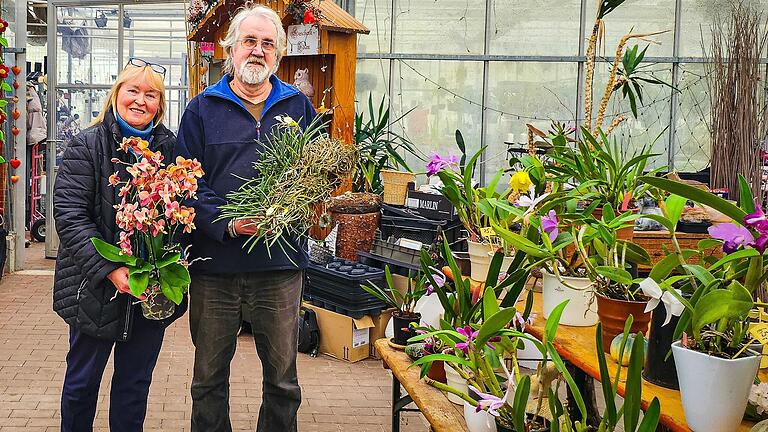 Martina und Manfred Wolff betreiben im Wonfurter Ortsteil Steinsfeld eine Orchideen-Gärtnerei.