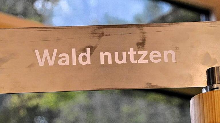 Aber auch schützen: Beim Naturschutz gilt der Forstbetrieb Ebrach als Vorreiter in Bayern. Aber auch schützen: Beim Naturschutz gilt der Forstbetrieb Ebrach als Vorreiter in Bayern.